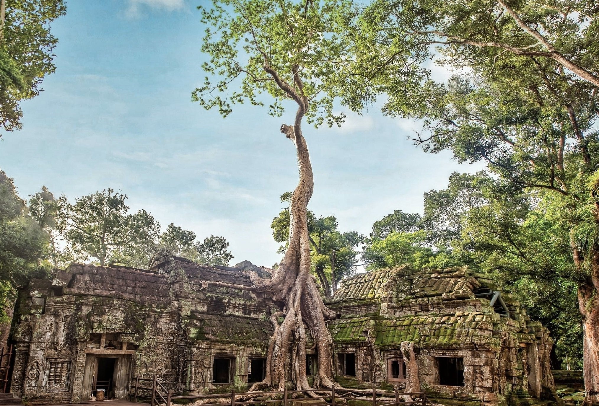 Ta Prohm Angkor wat kambodsha