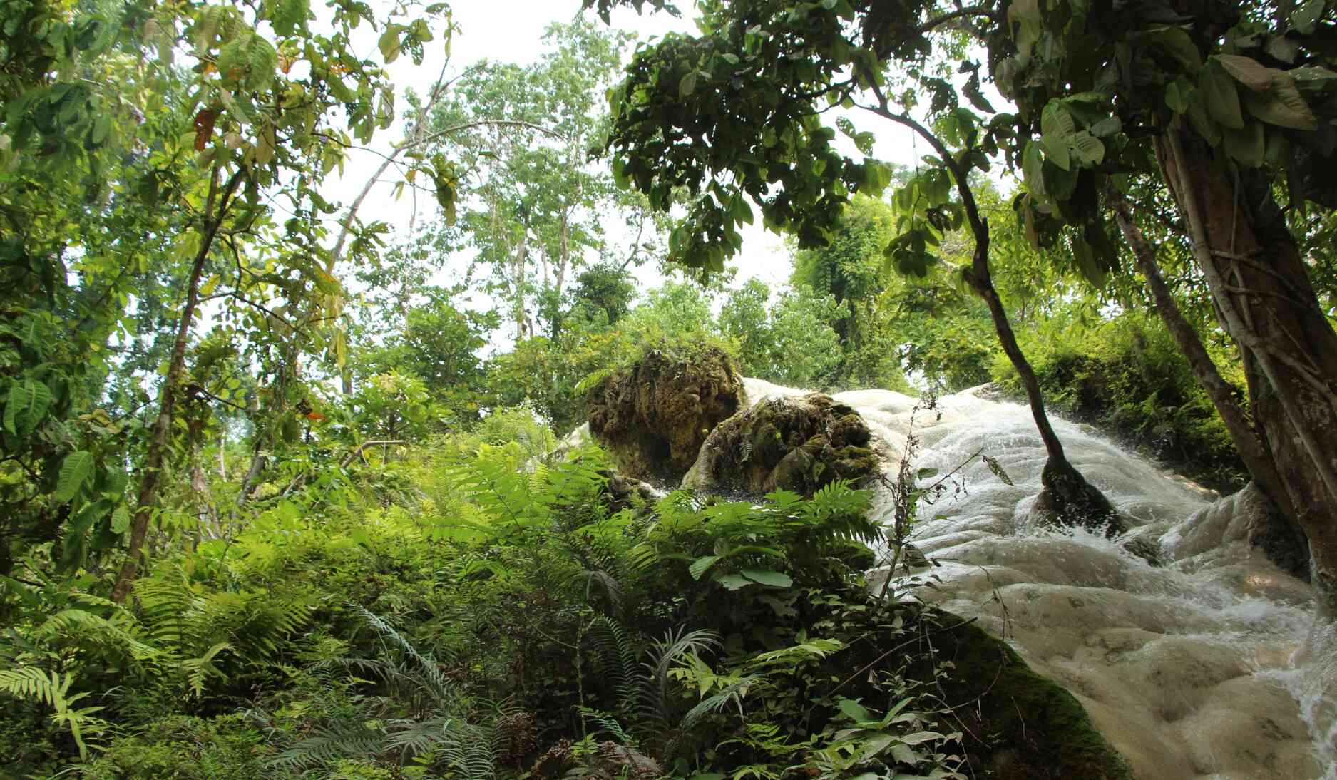 Bua Thong falls