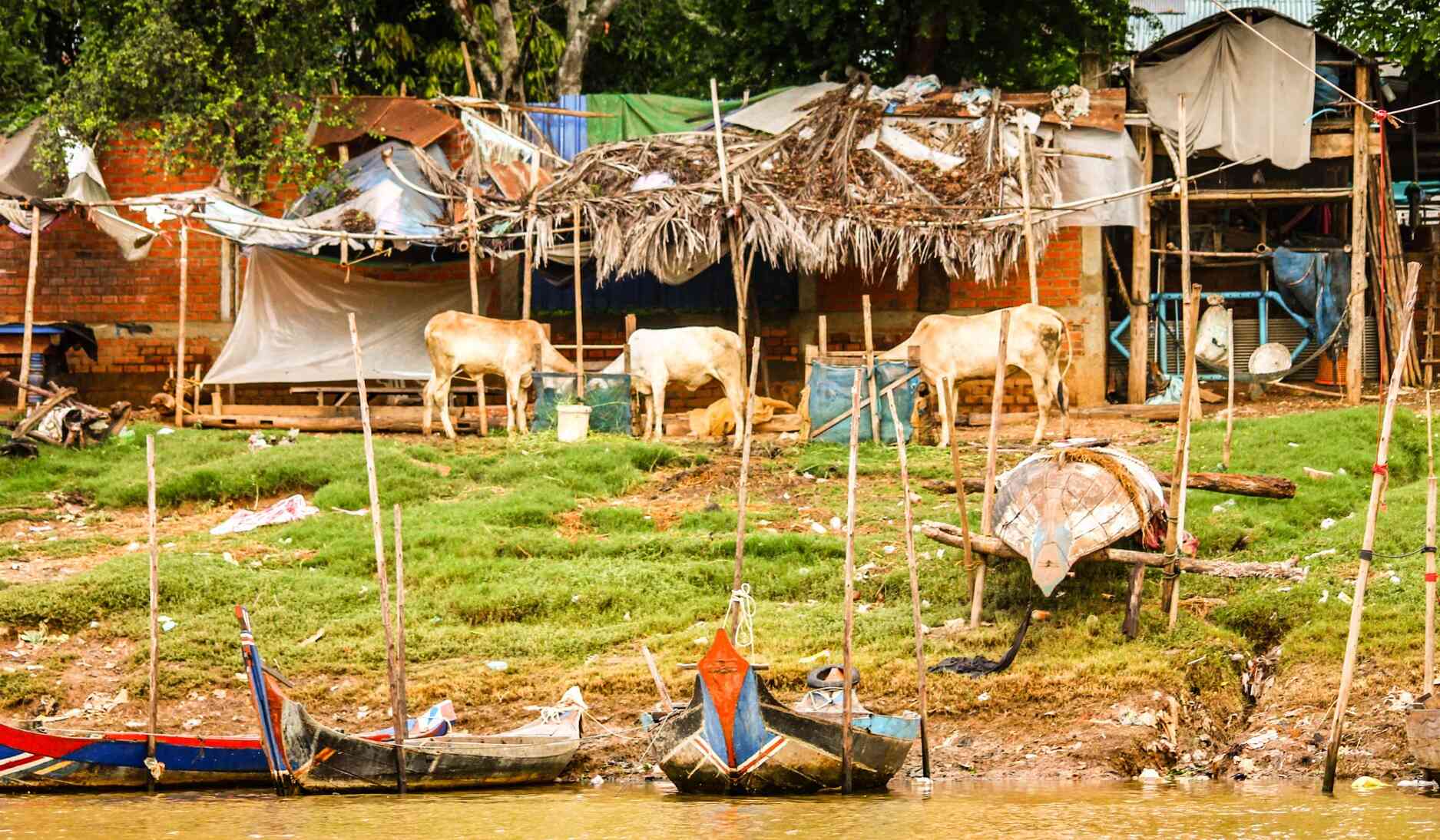 Tonle Sap_See