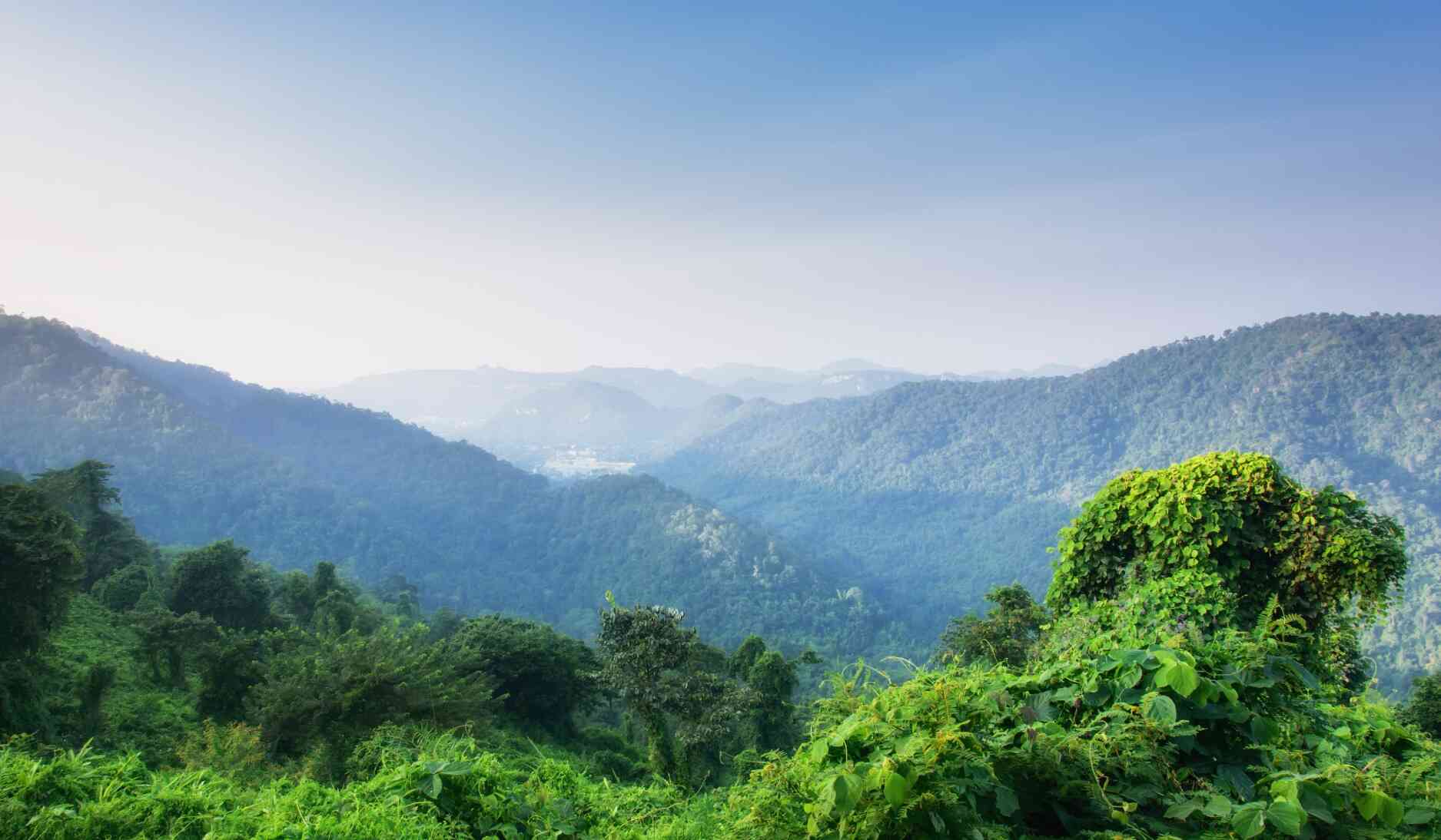 khao_yai_Berge