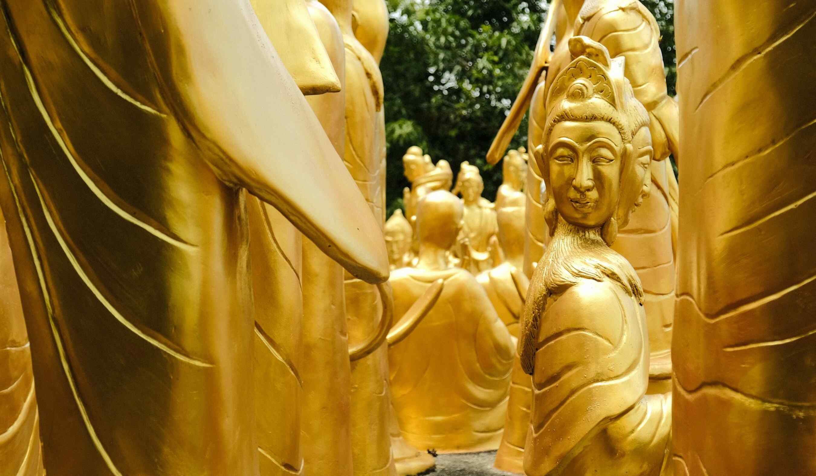 Goldene Buddhas